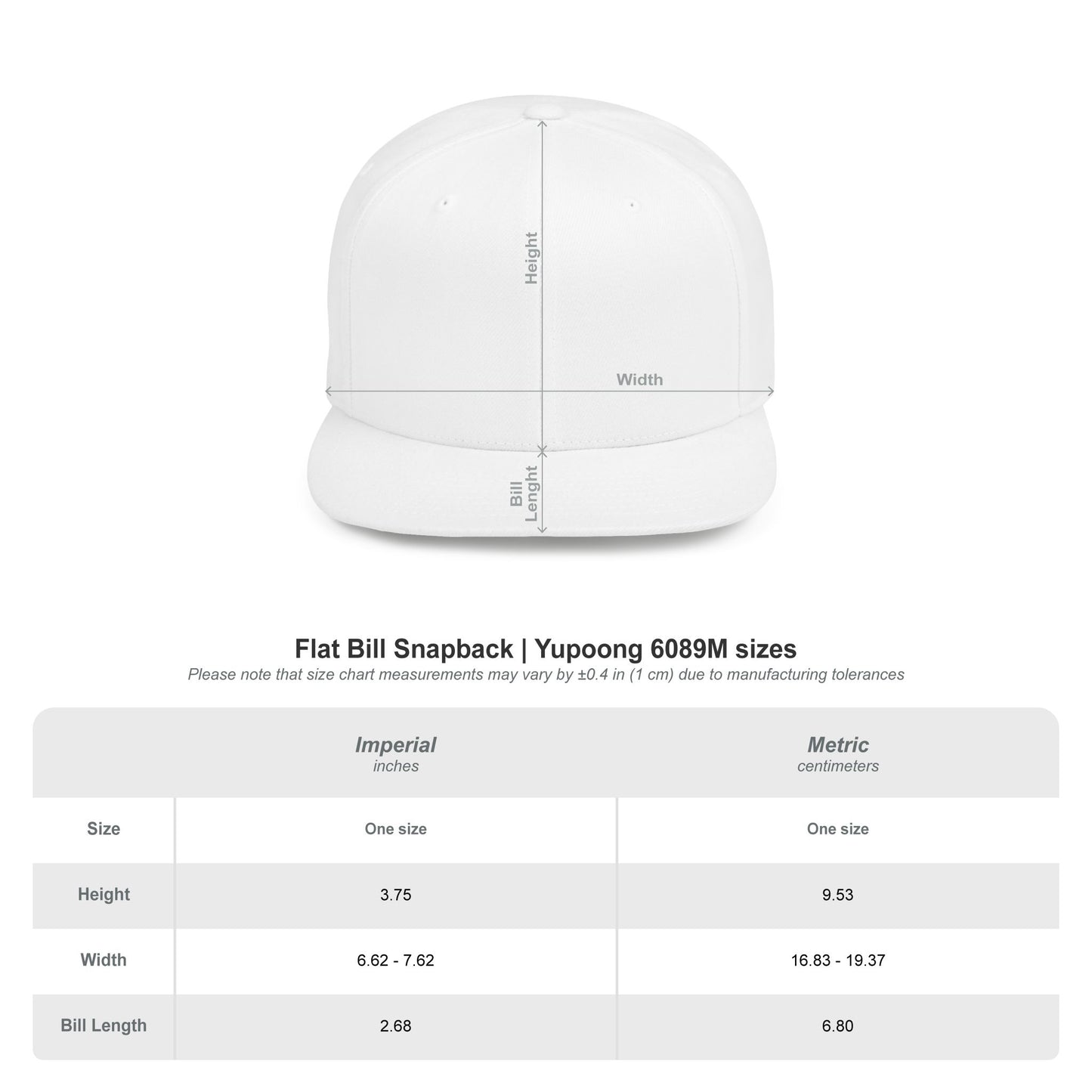 SingHUB SH Flat Bill Snapback